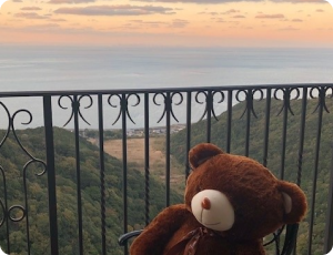 フォトギャラリー01