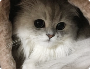 フォトギャラリー07