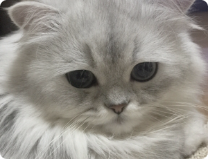 フォトギャラリー08